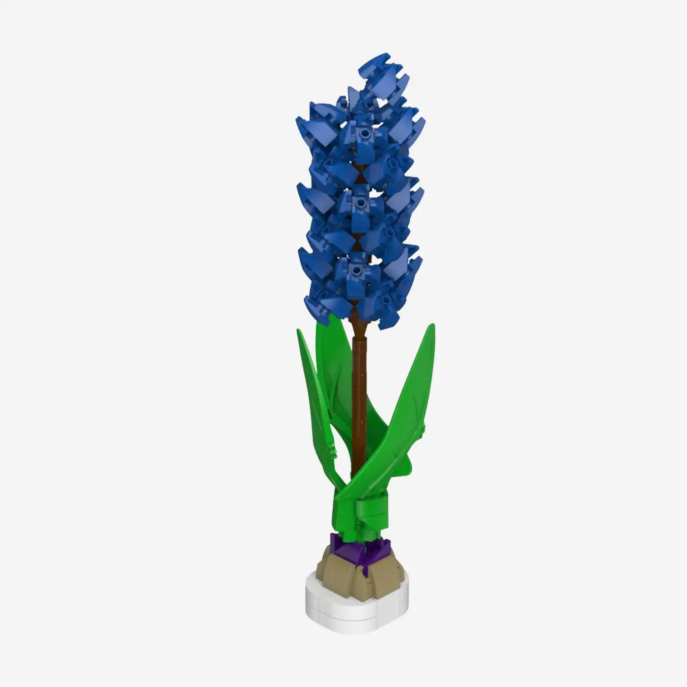 Blue Hyacinth
