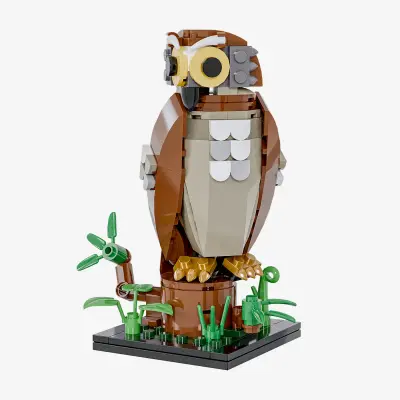 New Zealand Morepork