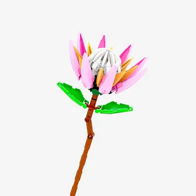 Pink Protea Flower